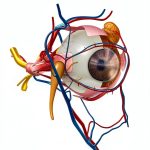 Ophthalmology eBook by Amirali Banani 50 Page Kindle Guide-0