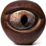 Ophthalmology Textbook Oxford Press Kindle Edition X‑Ray Enabled-0