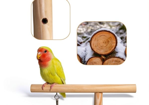 Bird Playground Vibriskape Wood Stand with Perch, Toys and Food Cups-5
