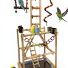 Bird Play Stand Large Natural Wood Parrot Perch by Niwaes-0