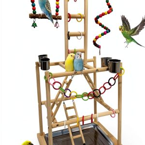 Bird Play Stand Large Natural Wood Parrot Perch by Niwaes-0