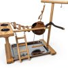 Parrot Playground Stand Natural Wood Perch Gym with Feeder by-6