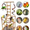 Bird Play Stand Large Natural Wood Parrot Perch by Niwaes-6