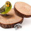 Birdcage Perches 3 Pcs Natural Wood Platform Stand by Welecom Proshop-6
