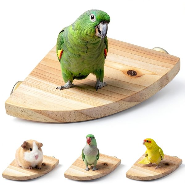 Birdcage Perches 3 Pcs Natural Wood Platform Stand by Welecom Proshop-4