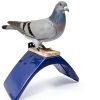 Pigeon Perches 8PCS Lightweight Dove Rest Stand for Racing Pigeons-1