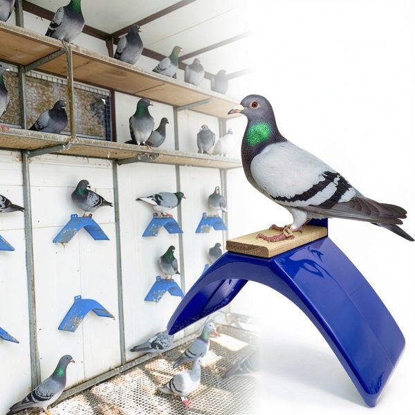 Pigeon Perches 8PCS Lightweight Dove Rest Stand for Racing Pigeons-2