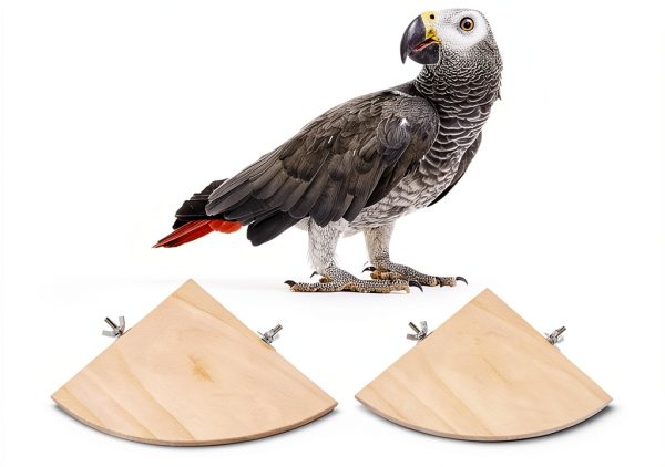 Birdcage Perches 3 Pcs Natural Wood Platform Stand by Welecom Proshop-2