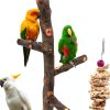 Bird Perch suruikei Apple Hard Wood Stand for Small Parakeets Set 1-0