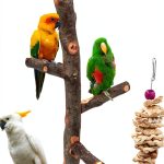 Bird Perch suruikei Apple Hard Wood Stand for Small Parakeets Set 1-0