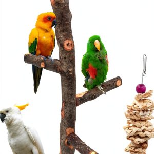 Bird Perch suruikei Apple Hard Wood Stand for Small Parakeets Set 1-0