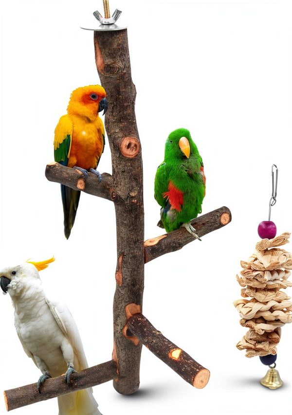 Bird Perch suruikei Apple Hard Wood Stand for Small Parakeets Set 1-0