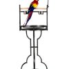 COZIWOW 72" Parrot Stand,Stainless Steel Tray Bowls Large Bird Playstand,Parrot Perch with Easy Grip,Wrought Iron Bird Stand with Toy Hook,Macaw Play Gym Ground Stand Rolling Wheel,Pet Gift-0