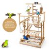 Bird Playground - Natural Wood Parrot Playstand with Perches, Bird Play Gym & Accessories, Removable Tray & 4 Stainless Steel Cups-6