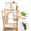 Bird Playground - Natural Wood Parrot Playstand with Perches, Bird Play Gym & Accessories, Removable Tray & 4 Stainless Steel Cups-2