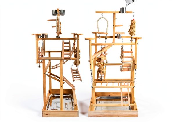 Bird Playground - Natural Wood Parrot Playstand with Perches, Bird Play Gym & Accessories, Removable Tray & 4 Stainless Steel Cups-4