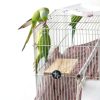 Bird Platforms BILLIOTEAM 4-Size Wood Perches & Stand Boards-3