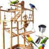 Bird Playground - Natural Wood Parrot Playstand with Perches, Bird Play Gym & Accessories, Removable Tray & 4 Stainless Steel Cups-3
