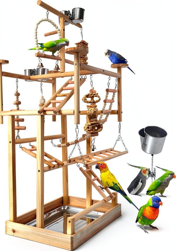 Bird Playground - Natural Wood Parrot Playstand with Perches, Bird Play Gym & Accessories, Removable Tray & 4 Stainless Steel Cups-3