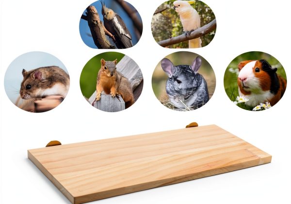 Parrot Bird Wood Perch Platform Large Stand Shelf for Birds Budgie Parakeet Cockatiel Conure Cockatoo Macaw African Grey-5