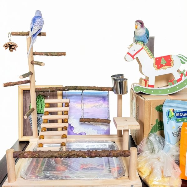 Bird Playground with Feeder Cups, Wooden Parrot Play Stand for Cockatiel, Parakeet-6