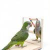 Wooden Bird Parrots Playground with Ladder and Chewing Toys-1