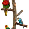 Bird Perch suruikei Apple Hard Wood Stand for Small Parakeets Set 1-5