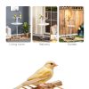 Bird Stand PawHut with Wheels, Stainless Steel Bowls, White-2