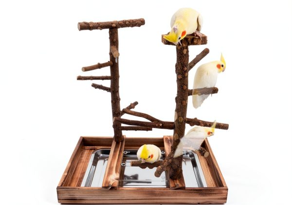 Bird Playground - Natural Wood Bird Perch Stand with Removable Tray and 2 Stainless Steel Cups-1