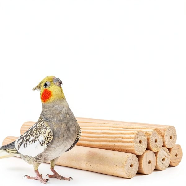 Wooden Bird Parrots Playground with Ladder and Chewing Toys-5