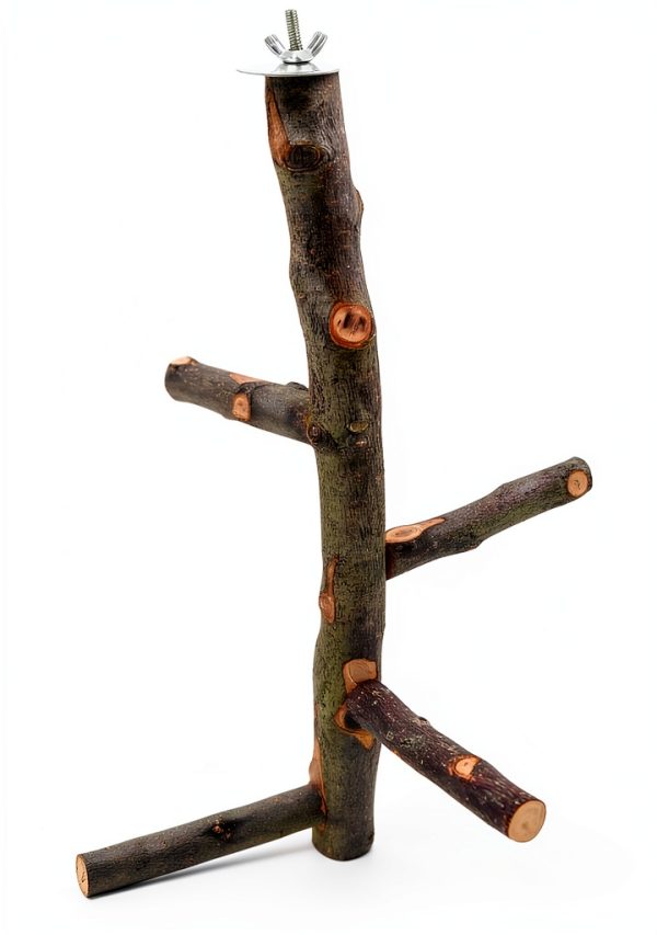 Bird Perch suruikei Apple Hard Wood Stand for Small Parakeets Set 1-1