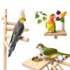 Wooden Bird Parrots Playground with Ladder and Chewing Toys-2