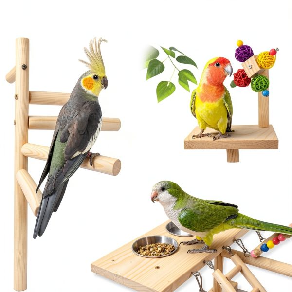 Wooden Bird Parrots Playground with Ladder and Chewing Toys-2