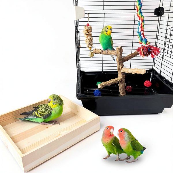 Bird Perch Stand Hamiledyi Wood Playground for Parrots, Parakeets-3