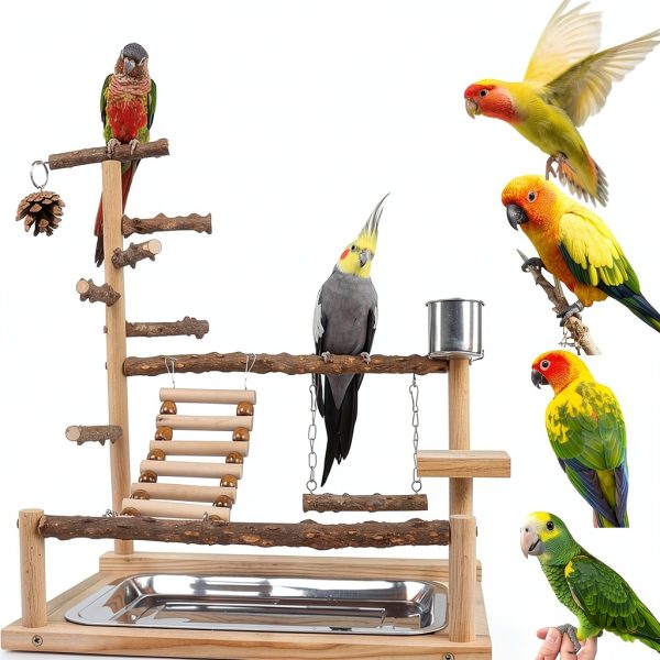Bird Playground with Feeder Cups, Wooden Parrot Play Stand for Cockatiel, Parakeet-0