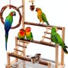 Bird Playground Natural Wooden Bird Stand Features Removable Tray, Feeding Cup, Bird Swing, Chew Toy, And Other Cage Accessories.Suitable for Most Parrots Including Long-Tailed Parrots and Budgerigars-0