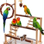 Bird Playground Natural Wooden Bird Stand Features Removable Tray, Feeding Cup, Bird Swing, Chew Toy, And Other Cage Accessories.Suitable for Most Parrots Including Long-Tailed Parrots and Budgerigars-0