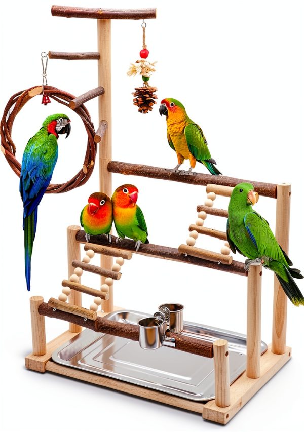 Bird Playground Natural Wooden Bird Stand Features Removable Tray, Feeding Cup, Bird Swing, Chew Toy, And Other Cage Accessories.Suitable for Most Parrots Including Long-Tailed Parrots and Budgerigars-0
