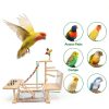 Wooden Bird Parrots Playground with Ladder and Chewing Toys-4