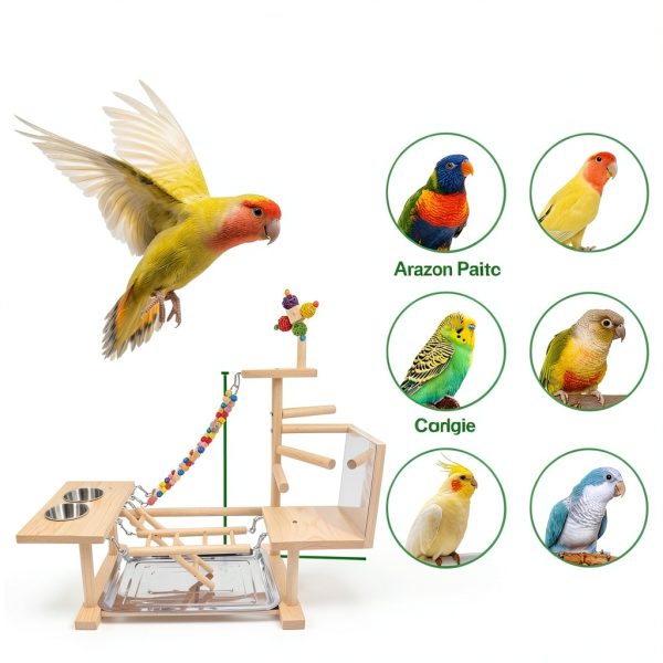 Wooden Bird Parrots Playground with Ladder and Chewing Toys-4