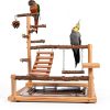 Bird Playground with Feeder Cups, Wooden Parrot Play Stand for Cockatiel, Parakeet-1