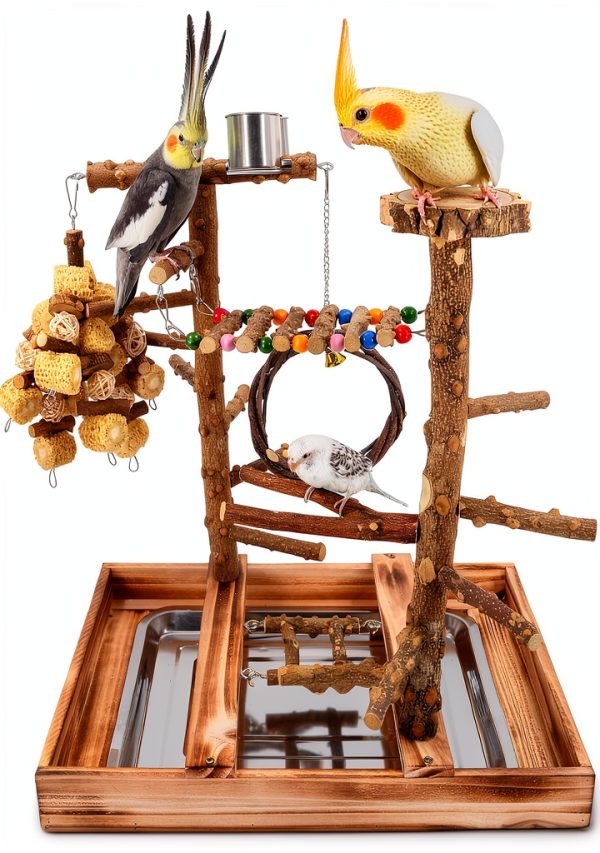 Bird Playground - Natural Wood Bird Perch Stand with Removable Tray and 2 Stainless Steel Cups-0