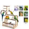 Bird Playground Natural Wooden Bird Stand Features Removable Tray, Feeding Cup, Bird Swing, Chew Toy, And Other Cage Accessories.Suitable for Most Parrots Including Long-Tailed Parrots and Budgerigars-4