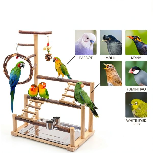 Bird Playground Natural Wooden Bird Stand Features Removable Tray, Feeding Cup, Bird Swing, Chew Toy, And Other Cage Accessories.Suitable for Most Parrots Including Long-Tailed Parrots and Budgerigars-4