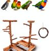 Bird Playground - Natural Wood Bird Perch Stand with Removable Tray and 2 Stainless Steel Cups-4
