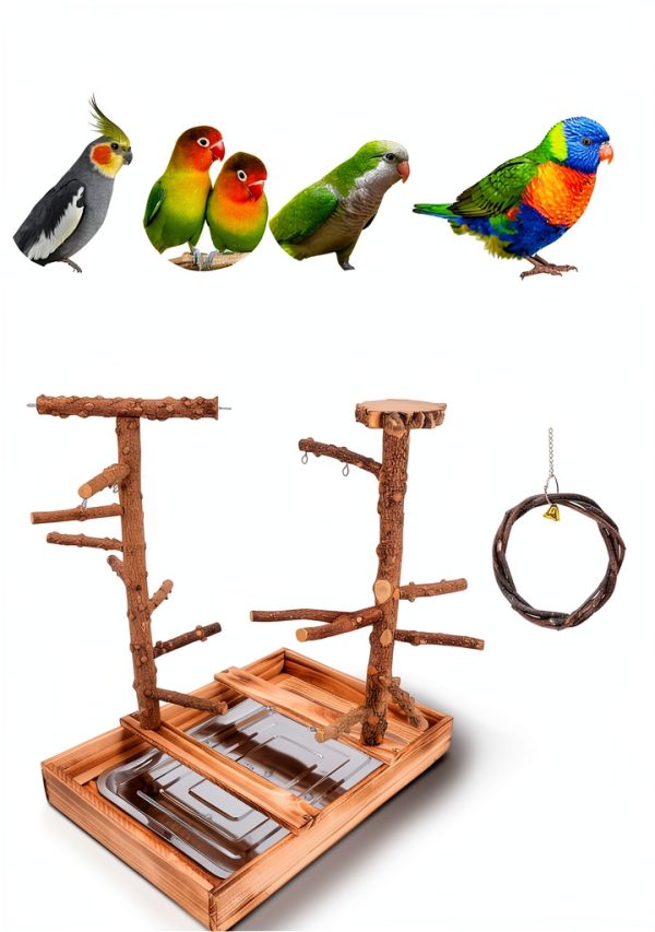Bird Playground - Natural Wood Bird Perch Stand with Removable Tray and 2 Stainless Steel Cups-4