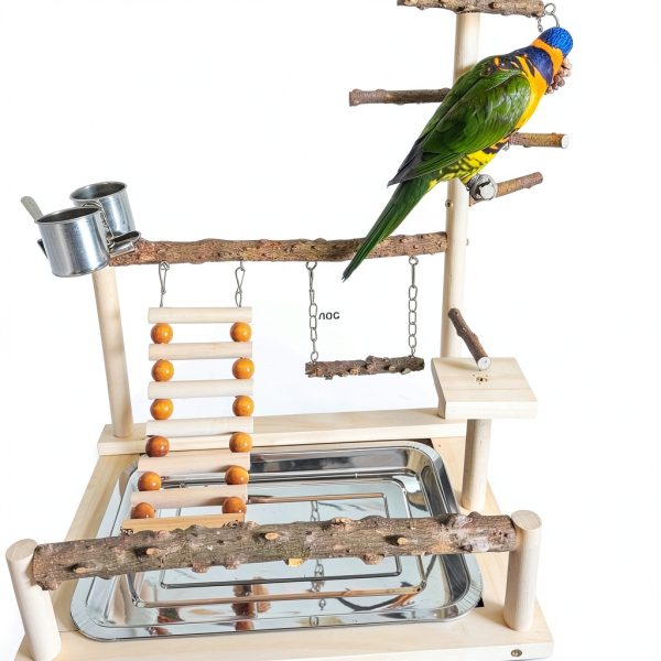Bird Playground with Feeder Cups, Wooden Parrot Play Stand for Cockatiel, Parakeet-4