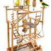 Bird Playground - Natural Wood Parrot Playstand with Perches, Bird Play Gym & Accessories, Removable Tray & 4 Stainless Steel Cups-0