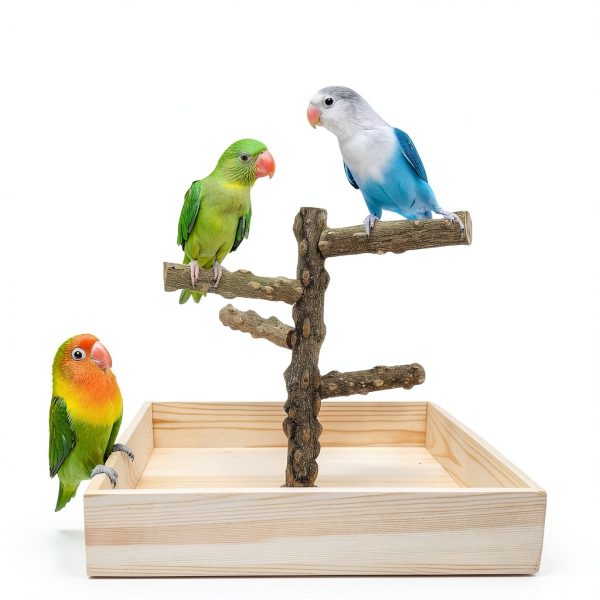 Bird Perch Stand Hamiledyi Wood Playground for Parrots, Parakeets-1