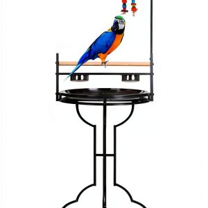Wrought Iron Parrot Play Perch Mcage 24x24x47H BlackVein Rolling Stand-0